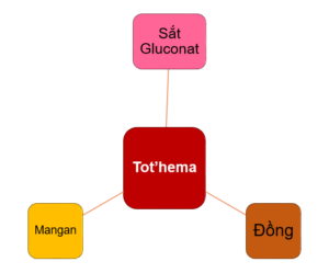 Bạn nên lưu ý những gì khi sử dụng thuốc Tot’hema? 2 BOB