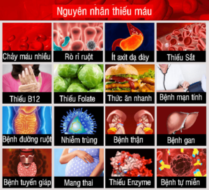 Cacnguyennhangayraluongsatthap
